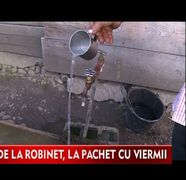 Locuitorii unei comune gorjene, speriati de apa de la robinet! Aceasta e infestata cu viermi